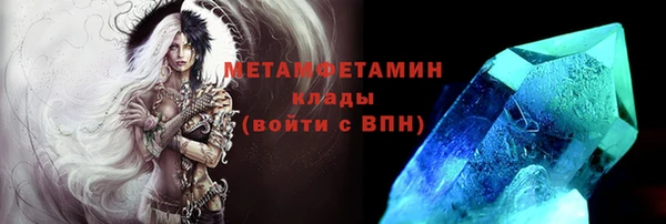 прущие грибы Навашино