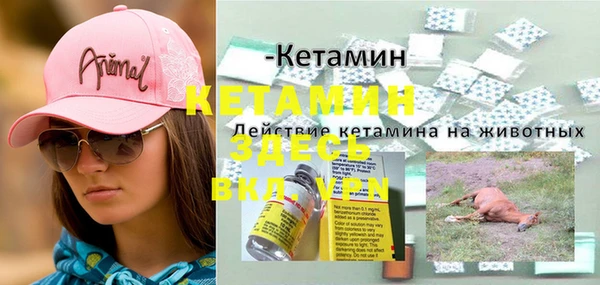 стаф Анива