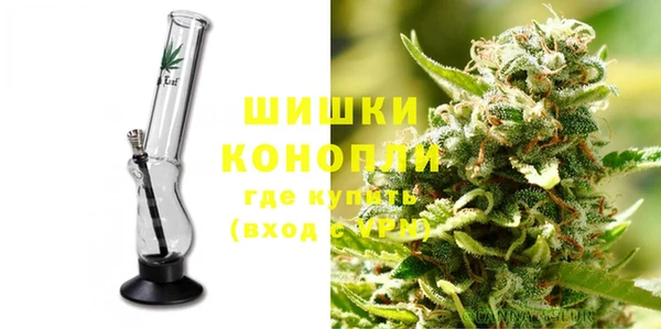 прущие грибы Навашино