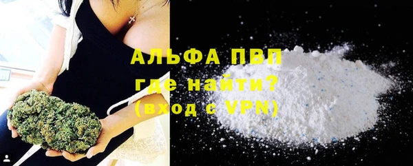 прущие грибы Навашино