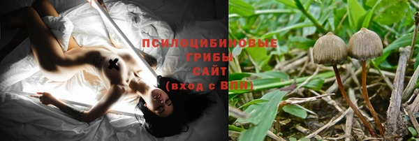 прущие грибы Навашино