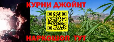 крисы Абакан