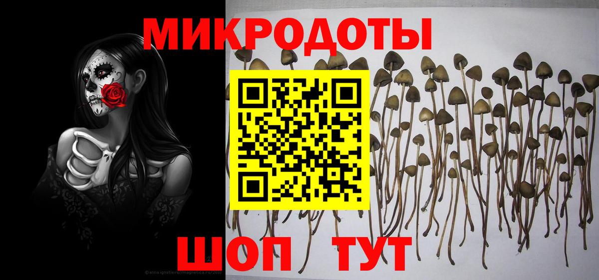 Галлюциногенные грибы прущие грибы  Псилоцибиновые грибы Psilocybine cubensis  Тольятти  Вход с VPN 